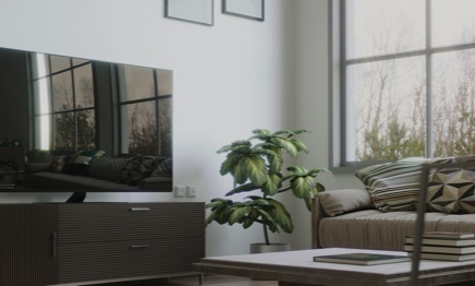 Home theater with a flat screen tv