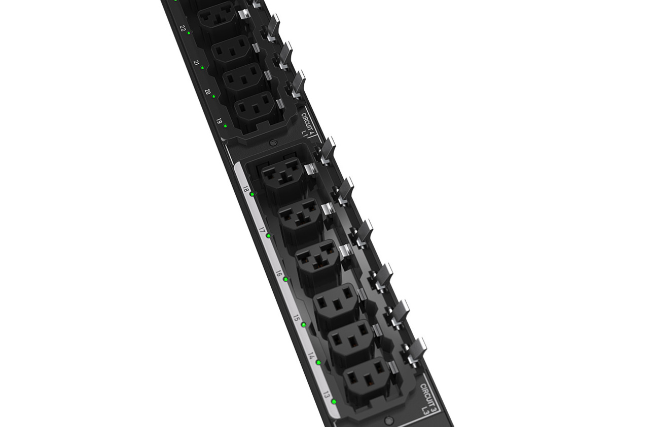 Raritan Rack PDU with multiple outlet types