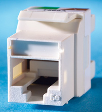 Category 5e Keystone jack, Blue