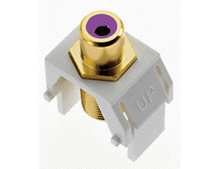 Purple RCA to F-Connector, White