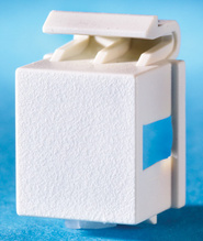 TechChoice Keystone Blank, Pack of 10, Fog White