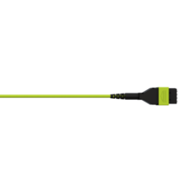 Infinium acclAIM Fiber Trunk Assembly, Plenum, MM OM5, 8 Fiber polarity C, 30 Meters